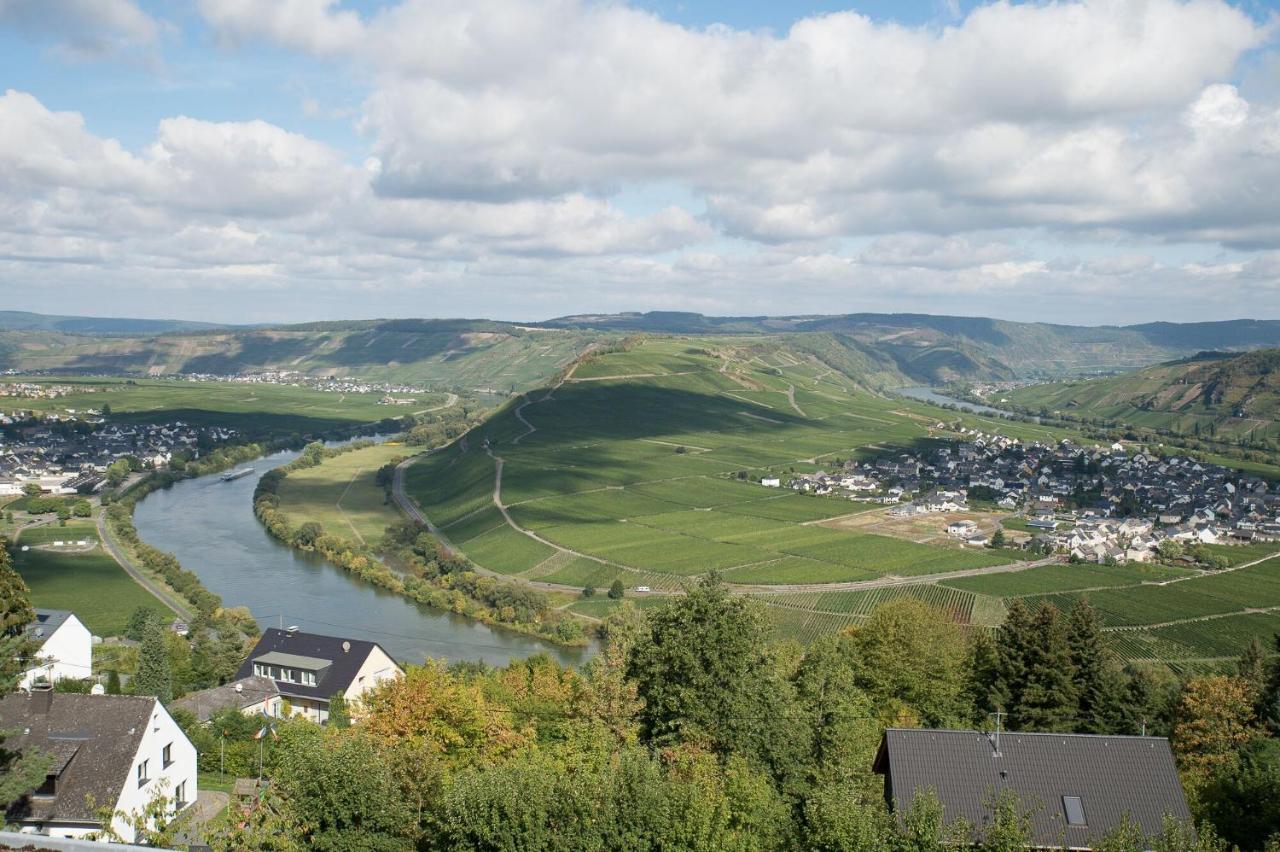 Gaestehaus-Weingut Loersch Leiwen Eksteriør billede